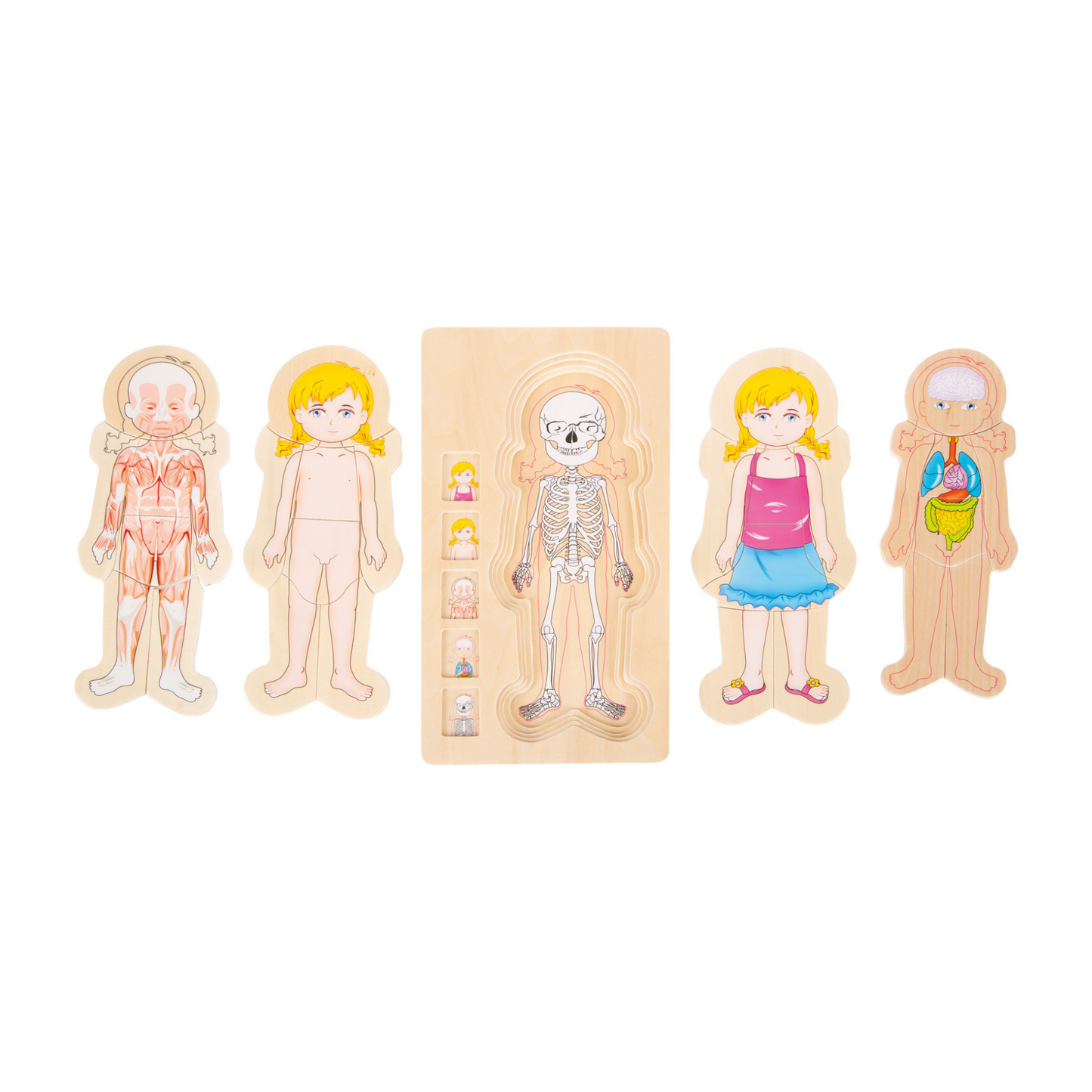 Puzzle din lemn- Anatomia corpului uman, Small Foot